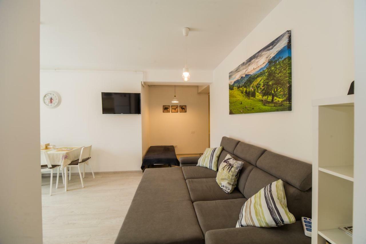 Schiller Apartment 57 - Free Private Parking Brassó Kültér fotó